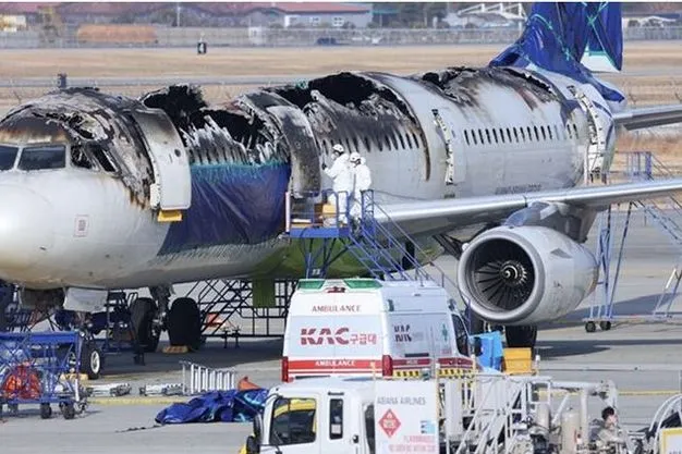 Eine Powerbank war sehr wahrscheinlich die Ursache dafür, dass ein A321 der Air Busan in Südkorea in Flammen aufging. 