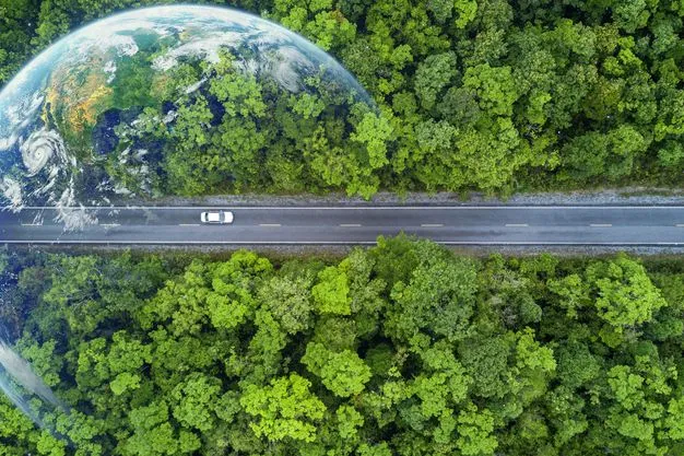 Eine Aufnahme von einem Auto, dass auf einer langen Straße fährt, in der Vogelperspektive. Die Straße ist umgeben von grünen Wäldern.